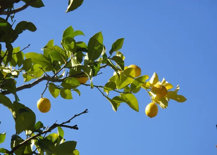 Hotel Menes Geni (Lefkada)
